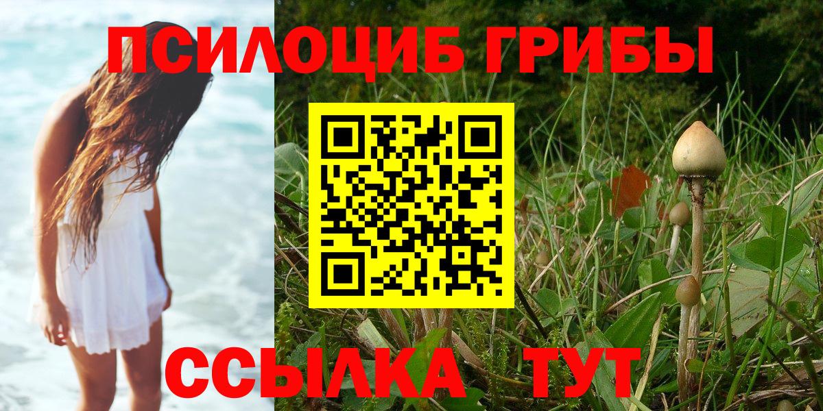 Псилоцибиновые грибы ЛСД  Вход с VPN  Кондопога 