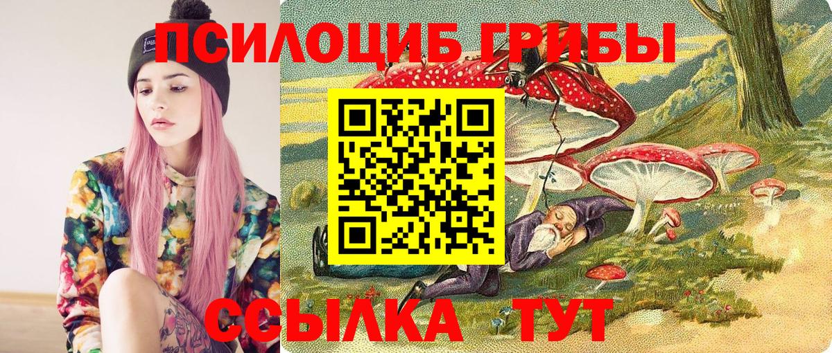 Псилоцибиновые грибы Psilocybine cubensis Кондопога