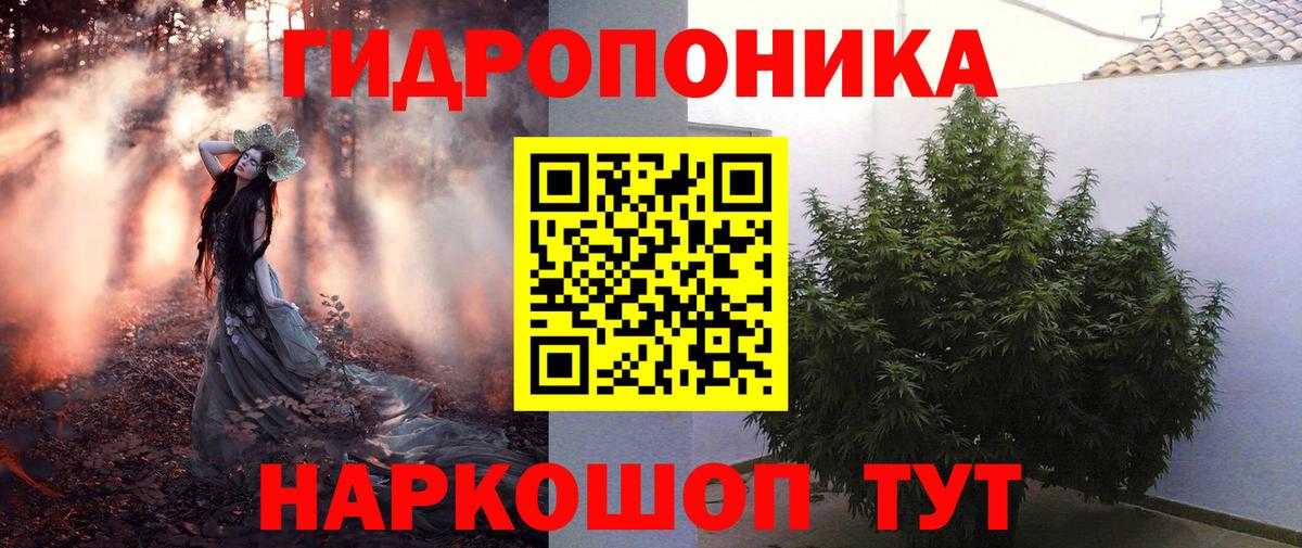 Шишки марихуана тримм  Вход с VPN  Кондопога  Канабис MAZAR 